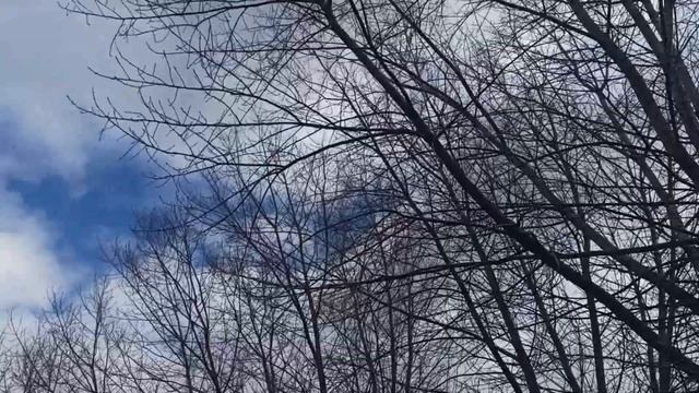 25 марта народный праздник Феофанов день. Народные приметы и традиции. Запреты дня. смотреть онлайн