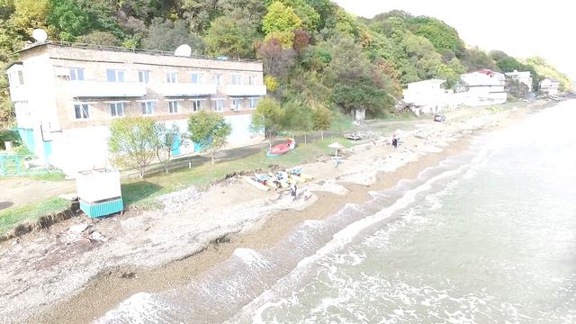 Большая ТАВАЙЗА г. Артем смотреть онлайн