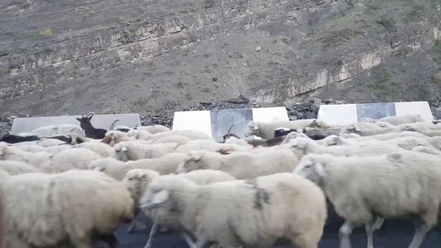 Дороги Дагестана смотреть онлайн