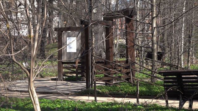 Весна. Первоцветы смотреть онлайн