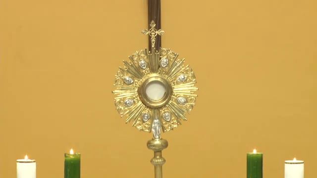 CORONILLA DE LA DIVINA MISERICORDIA 7 DE JULIO DE 2020 смотреть онлайн