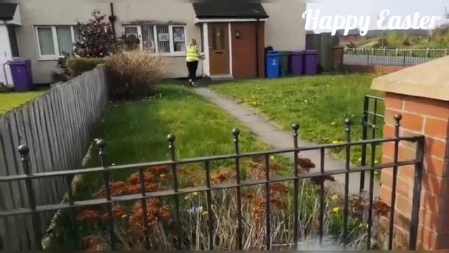 OLSS Easter egg delivery смотреть онлайн