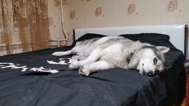 Кай поёт. Вот это голосок