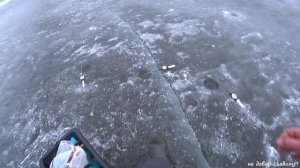 Рыбалка СПб ЧЕХОНЬ зимой Финский залив