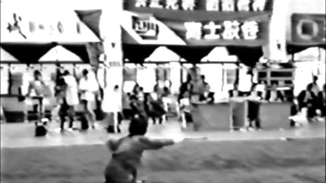 Палка ушу в исполнении женщин смотреть онлайн