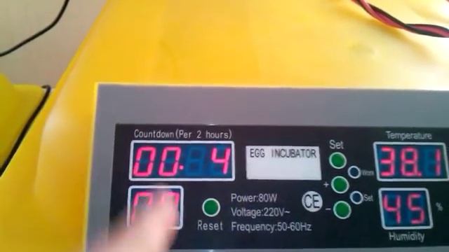 Инкубация перепелов. ИА-48 Китай смотреть онлайн