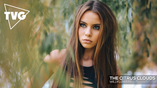 The Citrus Clouds - Wildflowers смотреть онлайн