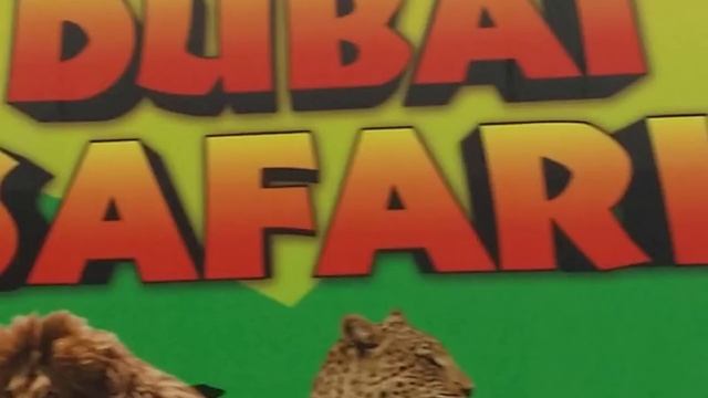 Dubai Safari Park Opening - Free entry смотреть онлайн