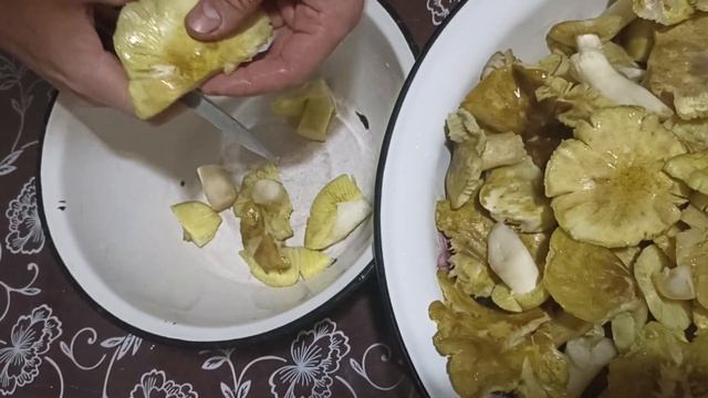 Дизайн и Разработка Веб-сайтов