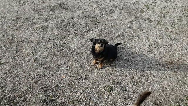 ПОЕЗДКА В ЕЙСК,ЦЕНЫ НА СТРОЙМАТЕРИАЛЫ,КАКОЙ БУДЕТ НОВЫЙ ДОМ смотреть онлайн