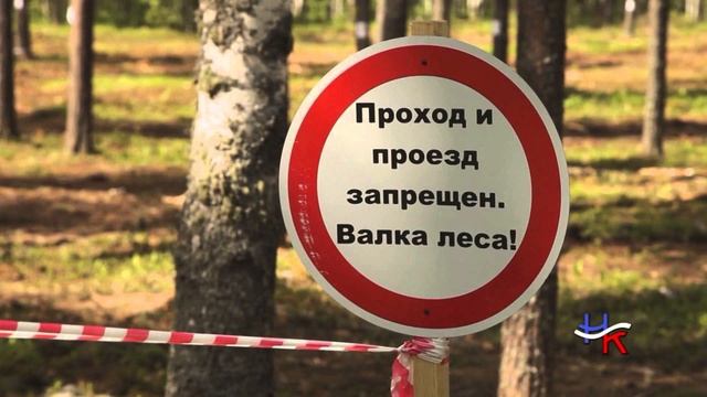 История бесплатного получения леса для строительства жилого дома #2 смотреть онлайн