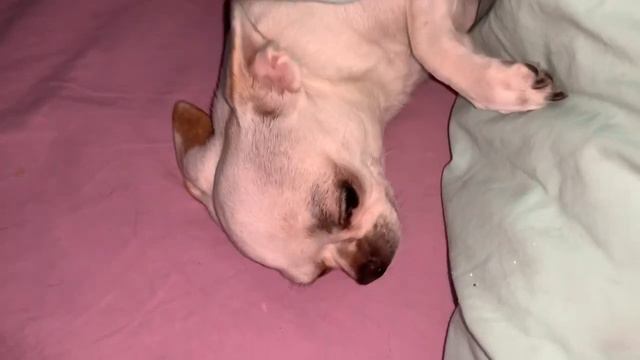 Всем наидобрейшего утречка и прекрасного дня. смотреть онлайн