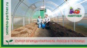 СУПЕР ОГУРЦЫ ПАРТНЕРА: ПОСЕВ В ТЕПЛИЦЕ
