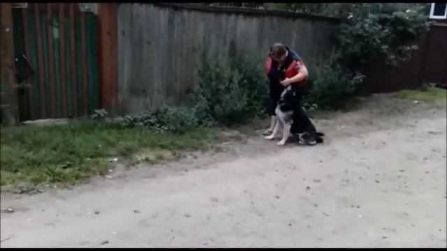Карат выборка 7 с. смотреть онлайн