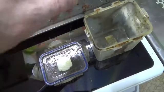 Год не мыл контейнер для супа.