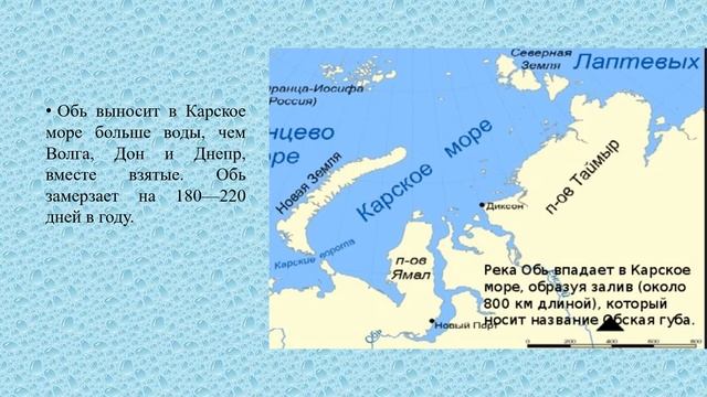 Реки, озера, каналы лесной зоны география 7 кл смотреть онлайн