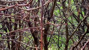 Приметы на 16 апреля