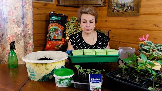 Ваша рассада больше не будет желтеть смотреть онлайн