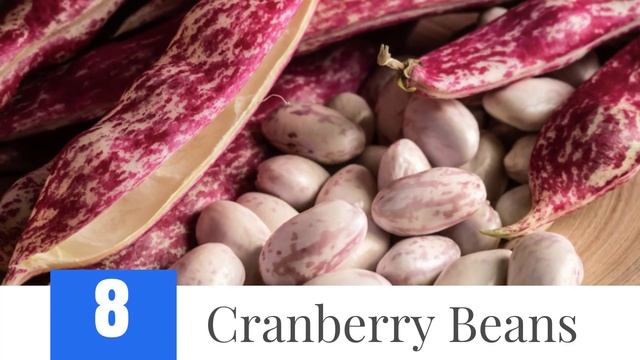 Types of Beans смотреть онлайн