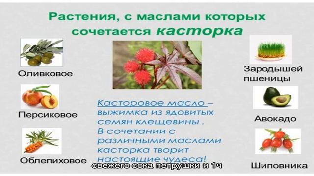 Польза касторового масла для ресниц. Маски для ресниц смотреть онлайн