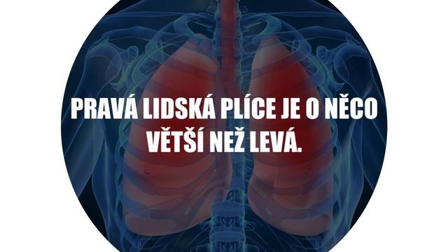 10 Zajímavostí ze světa lidí, zvířat a přírody, které musíte znát смотреть онлайн
