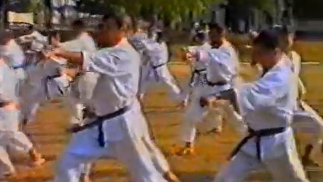 Dr. Ilija Yorga 8th Dan karate Seminar in Sevastopol in 1994 (part2) смотреть онлайн