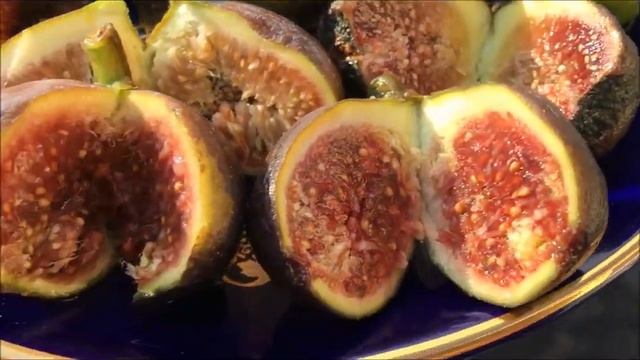 Франция. Инжиры. И 19 ноября можно снять их прямо с дерева спелыми, хотя у нас не юг Франции. смотреть онлайн