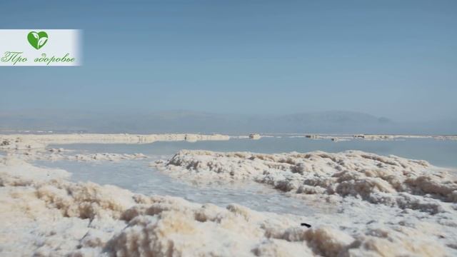 Соседка по даче дала рецепт, Уже неделю дышим по новому! Про Здоровье смотреть онлайн