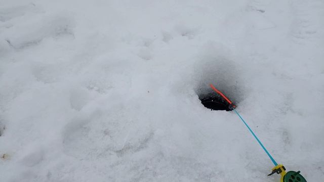 карп зимой смотреть онлайн