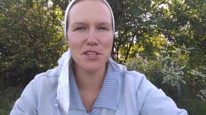 Какую траву посеять для скота