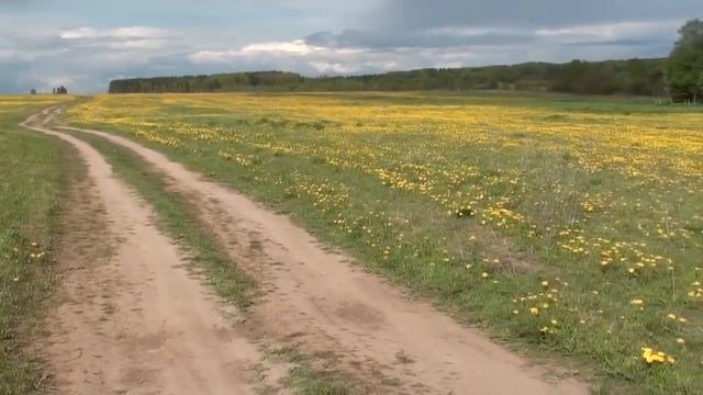 СОБИРАЕМ СНЫТЬ #16 смотреть онлайн