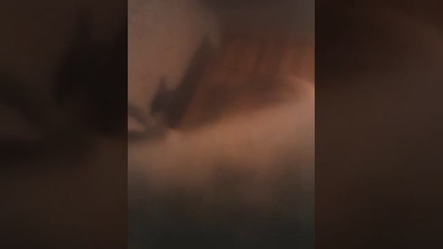 28 ноября 2016 г. смотреть онлайн