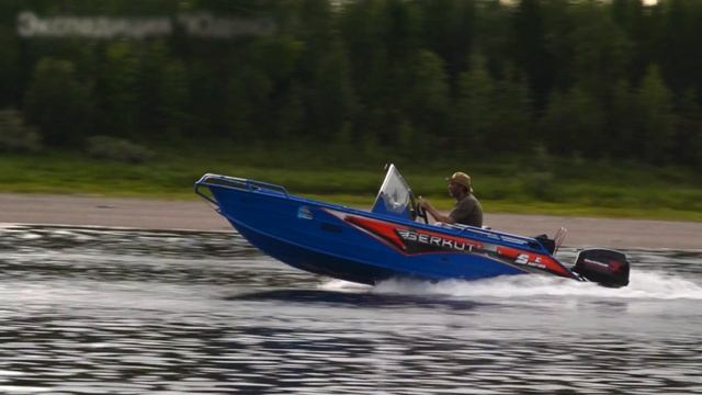Berkut HD 1080p