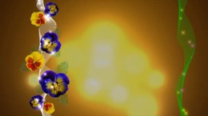 футажи для видеомонтажа hd