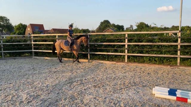 L’amour Toujours * 4 yo mare by Cornet Obolensky x Verdi смотреть онлайн
