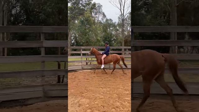 Tilly & Savannah bareback 13th august 2022 смотреть онлайн