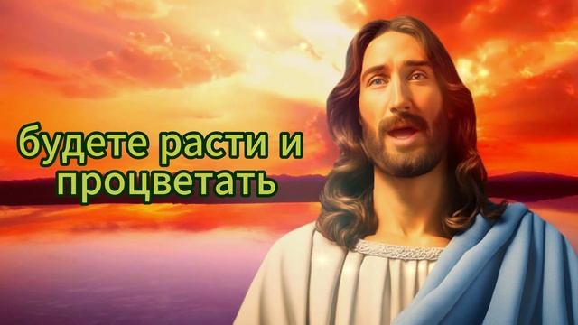 ? АНГЕЛ ГОВОРИТ ТЫ БЫЛ ИЗБРАН БОГОМ, НО КТО-ТО МАНИПУЛИРОВАЛ ВСЕМ...✝️ СООБЩЕНИЕ АНГЕЛА смотреть онлайн