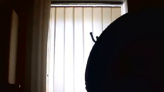 Видео с веб-камеры. Дата: 1 июля 2014 г., 10:30.