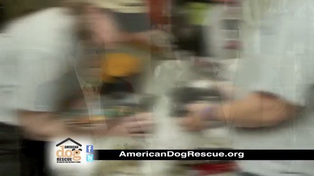 Arthur Benjamin and Marshall Faulk help animal tornado victims from Joplin, MO смотреть онлайн
