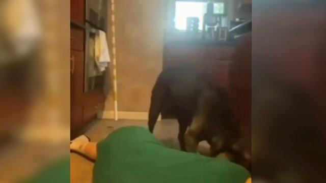 А теперь вскрытие смотреть онлайн