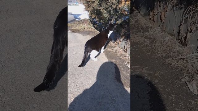 2024年2月10日 смотреть онлайн