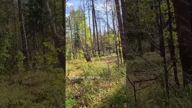 Трогательная история