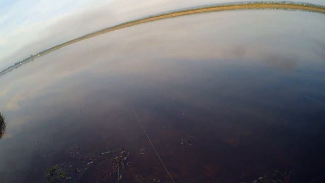 Я БЫЛ В ВОСТОРГЕ! КОГДА ДОСТАЛ ЭТО НА УДОЧКУ! РЕКА СУХОНА ВСЕГДА УДИВЛЯЕТ! #рыбалка2022 смотреть онлайн