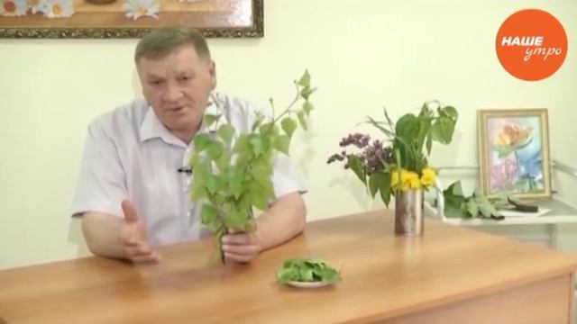 полезные свойства березы смотреть онлайн