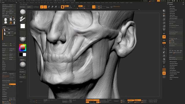 Андрей Богомолов - Создание бюста с черепа и мышц. смотреть онлайн
