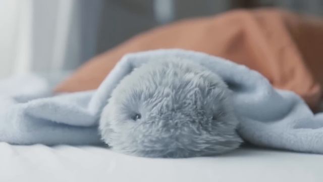 Смартфон-рулон и Конец бренда LG Mobile, Большие испытания Илона, Соцсеть от Трампа и другие новост смотреть онлайн