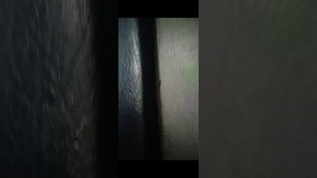 Дешёвый Автобус смотреть онлайн