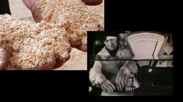 Видео хлеб блокады смотреть онлайн