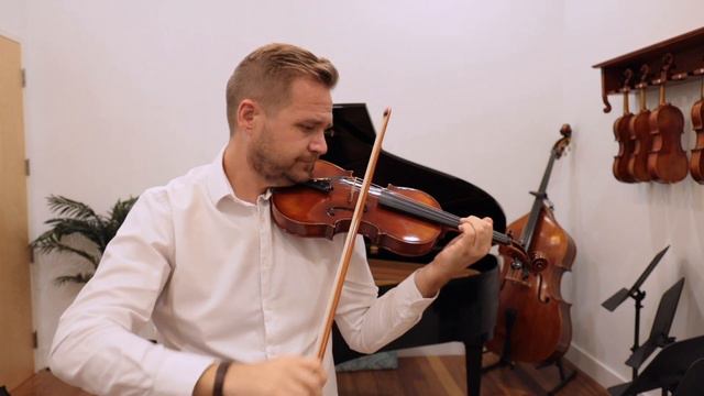 Holstein Traditional Amati, Lord Wilton, Ming Jiang Zhu 903 For Robert