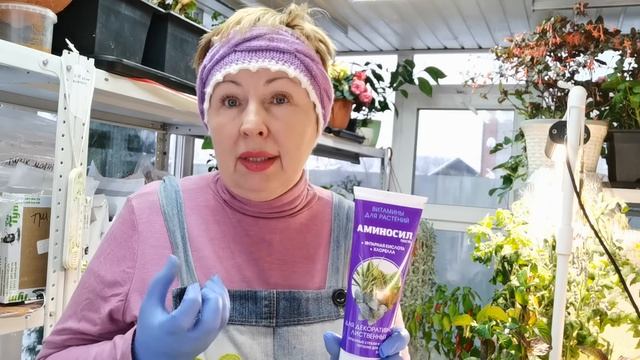 Эффективная и экономичная подкормка в зимний период для всех растений